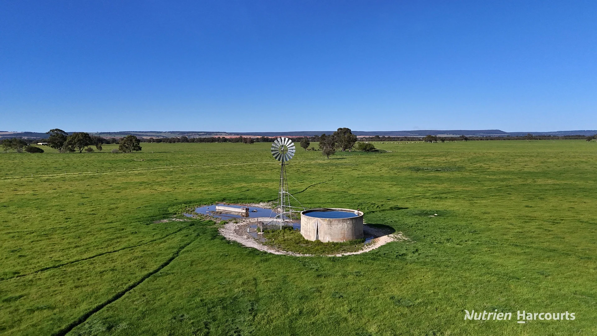 "Gracefield Park" - Image 4
